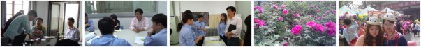 解答ERP系统升级疑惑 支持员工观看牡丹花展
